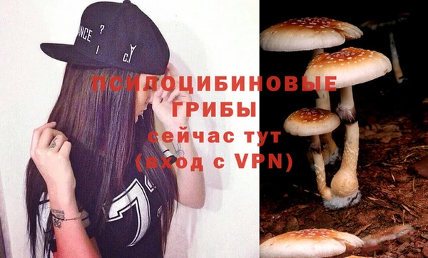 гашиш Абаза