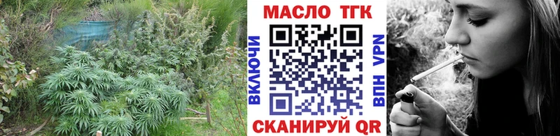 Дистиллят ТГК концентрат  Елизаветинская 