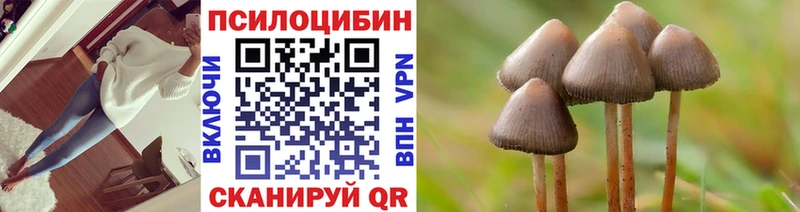 Псилоцибиновые грибы ЛСД  Елизаветинская 