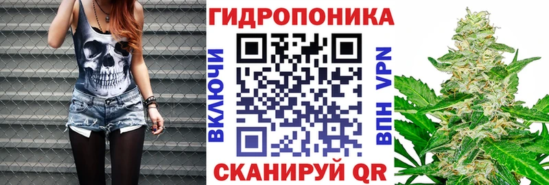 Бошки Шишки индика  Елизаветинская 
